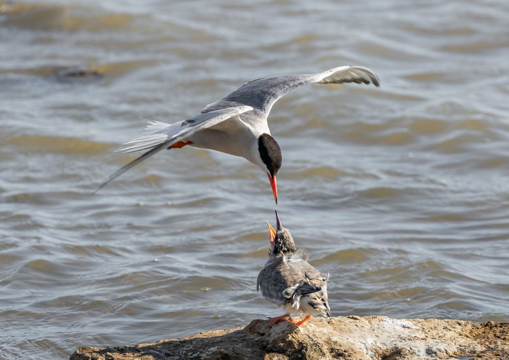 Photograph by erkan camlilar
