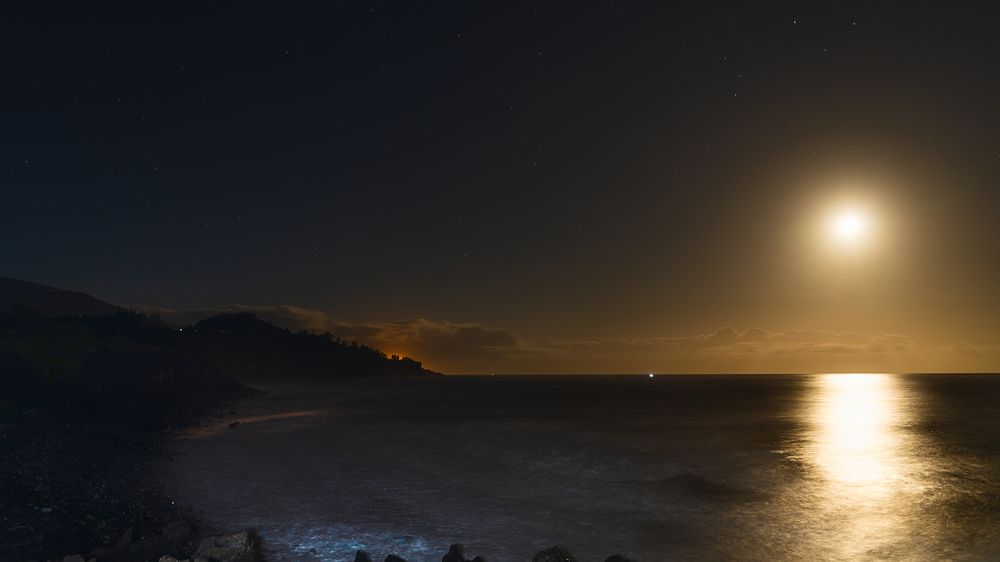 Lever de lune à Langevin - île de la Réunion