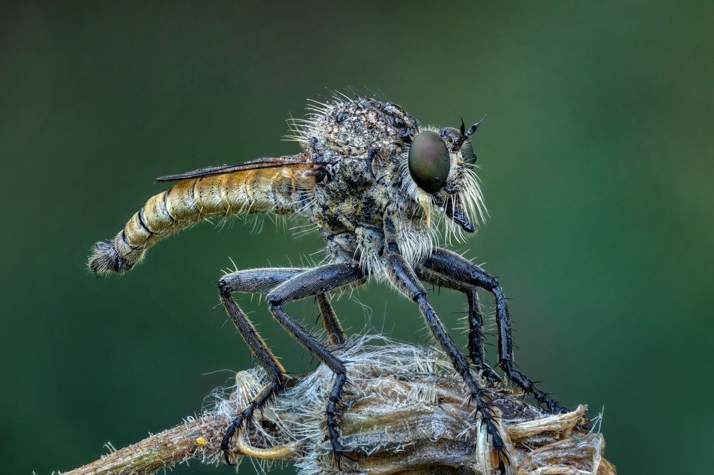 Photograph by Andrey Ostapenko