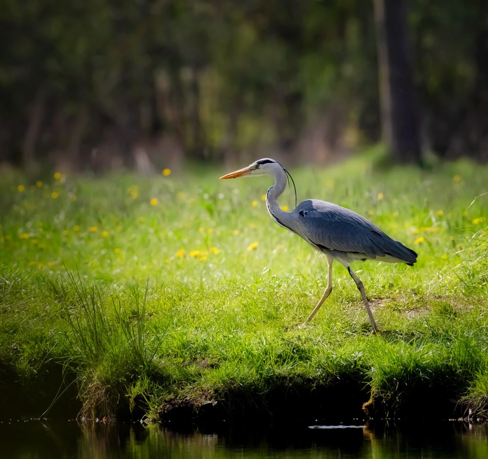Photograph by Zavaydin Zavaydinov