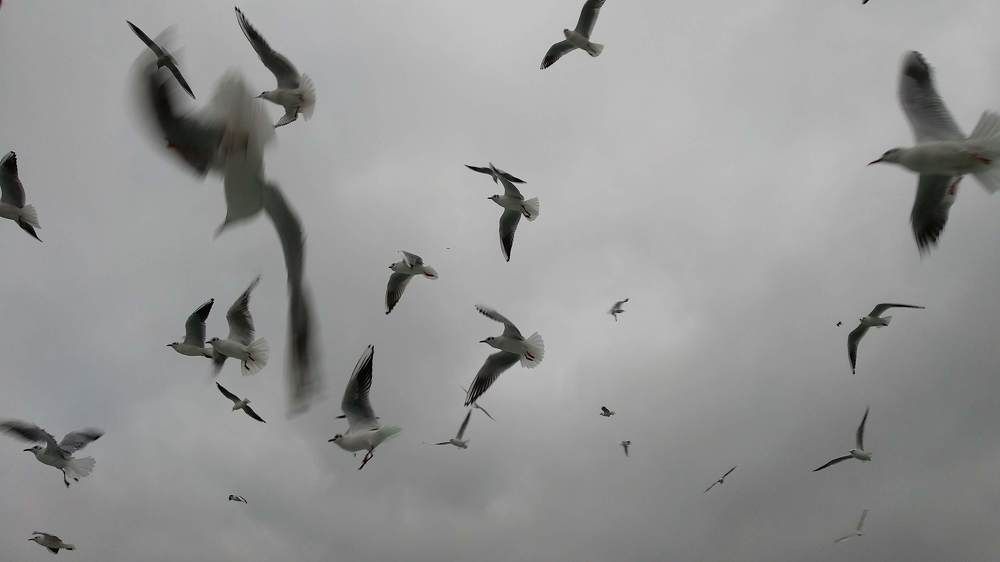 Photograph by Kounalis Konstantinos