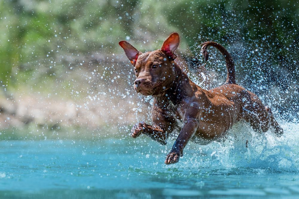 Photograph by Виола Поликарпова