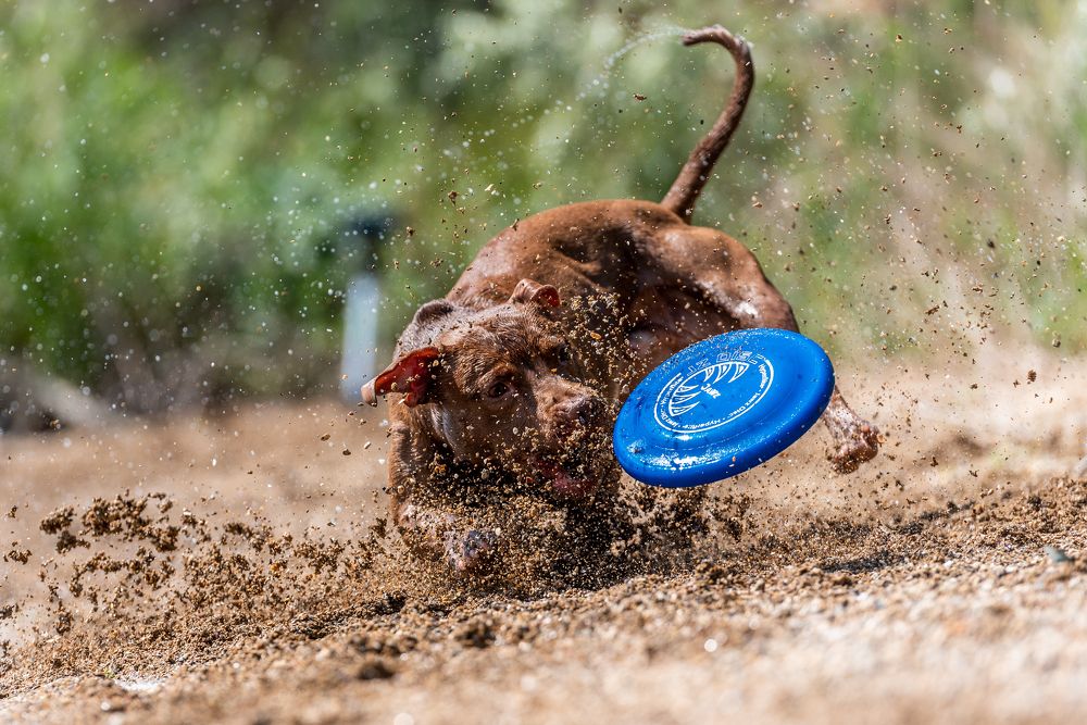 Photograph by Виола Поликарпова