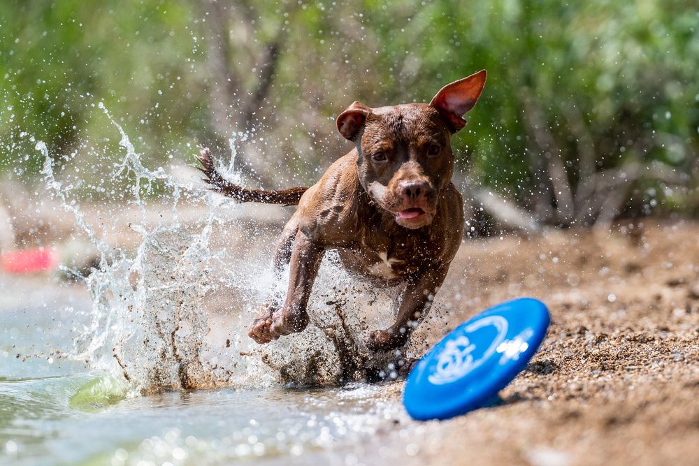 Photograph by Виола Поликарпова
