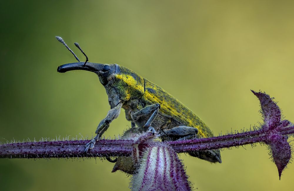 Photograph by Andrey Ostapenko