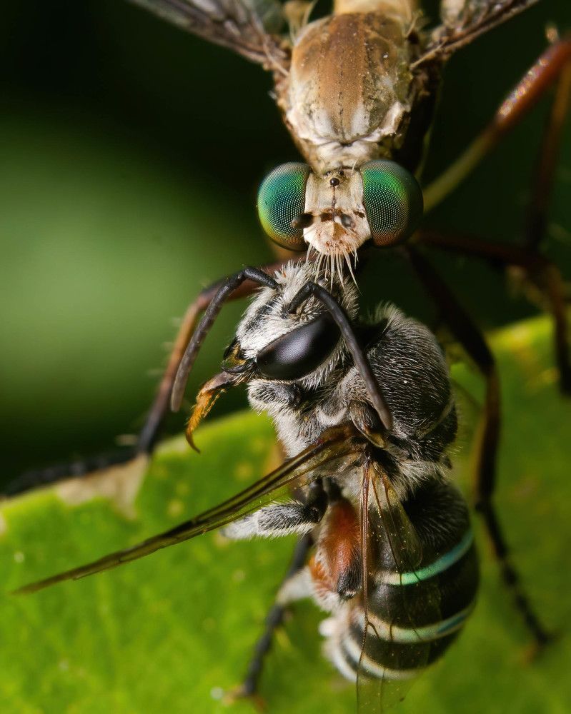 Photograph by Praveen kumar Dhandapani
