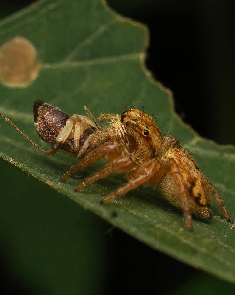Photograph by Praveen kumar Dhandapani