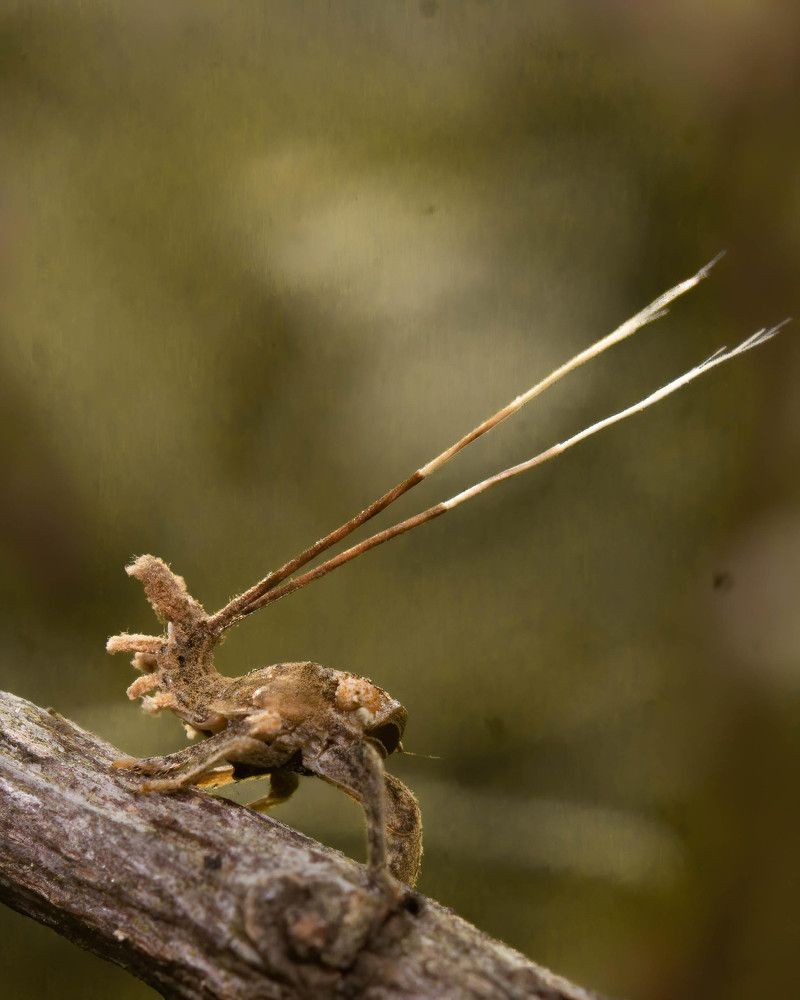 Photograph by Praveen kumar Dhandapani