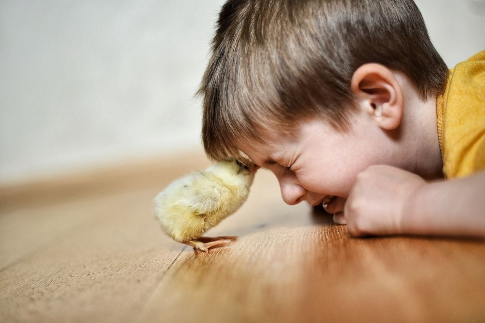 Photograph by Реутская Юлия