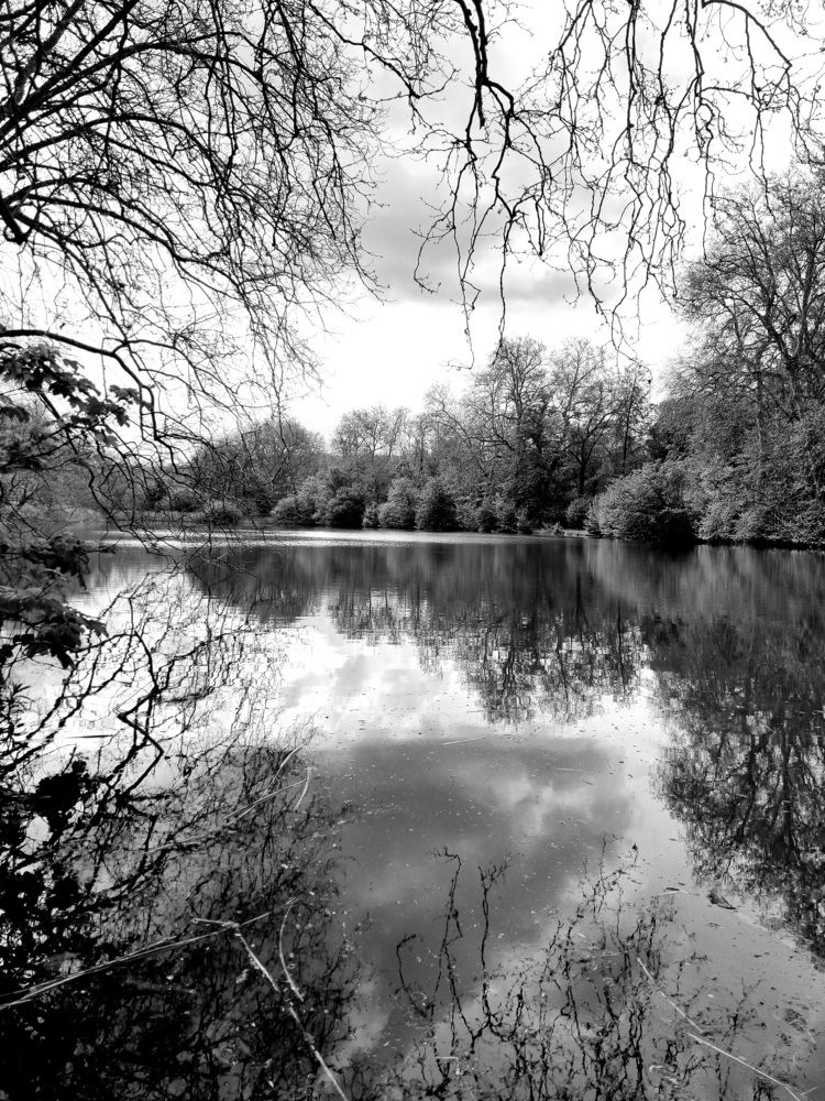 Photograph by Hanna Bourne