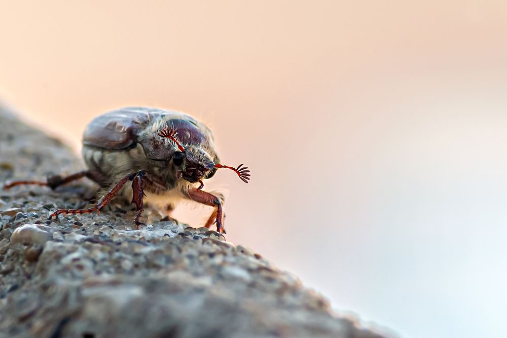 Photograph by Виталий Слёзка