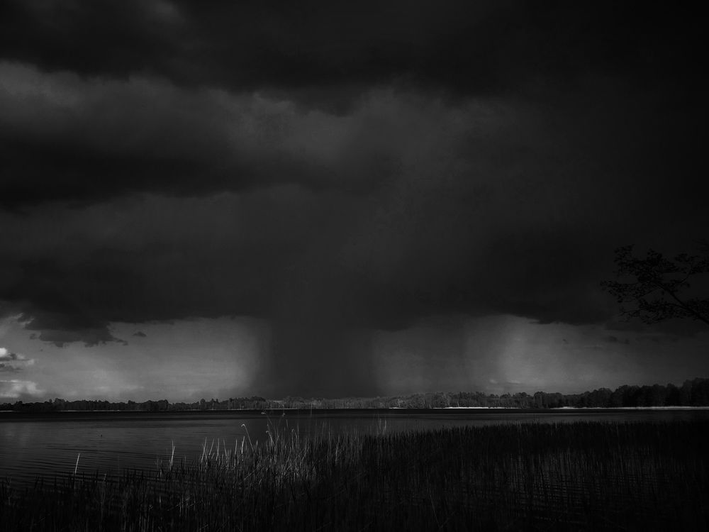 Photograph by Любовь Коровацкая