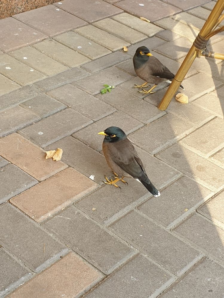 Photograph by Гюзель