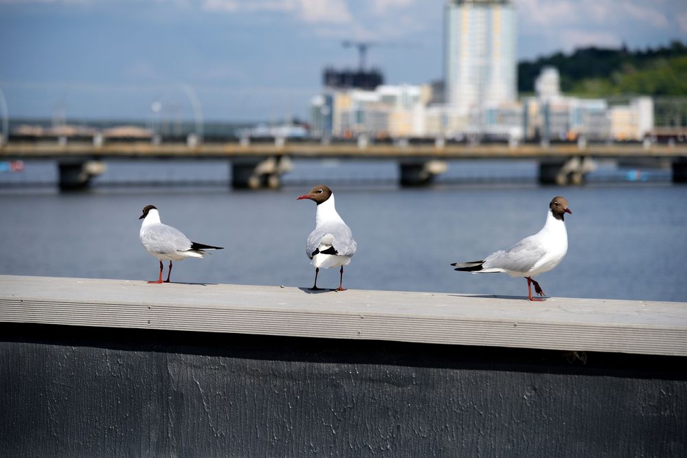 Photograph by Оксана Астрова