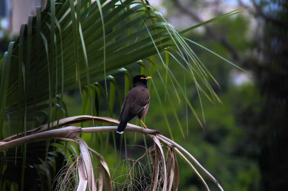 Photograph by Emin Mukhtarov