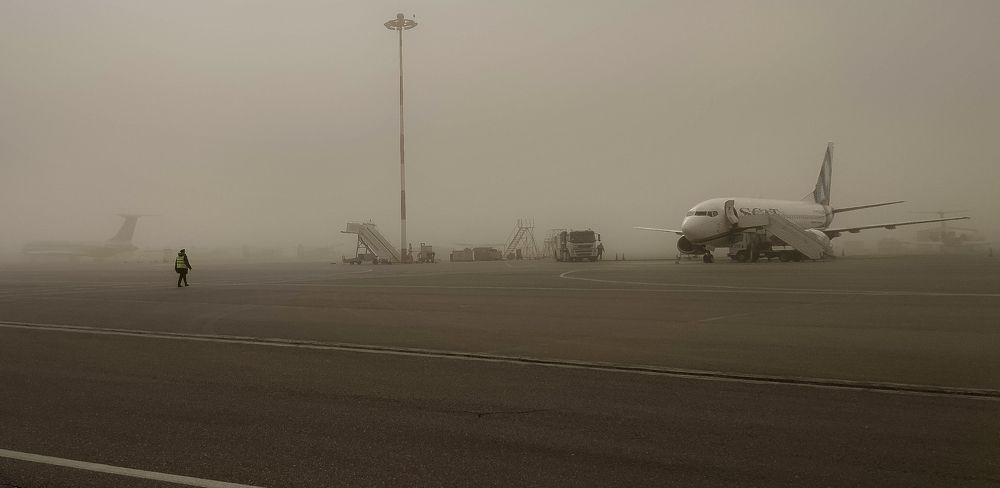 Photo #7694148