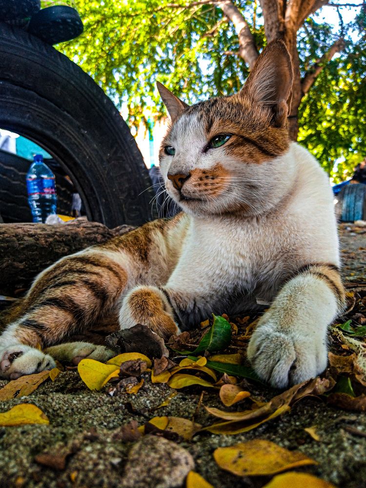 Photograph by Samwel Makundi