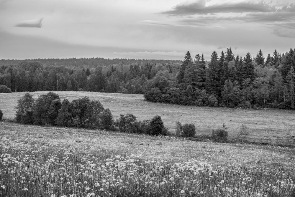 Photograph by Юрий Киреев