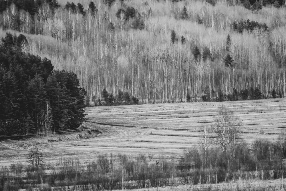 Photograph by Юрий Киреев