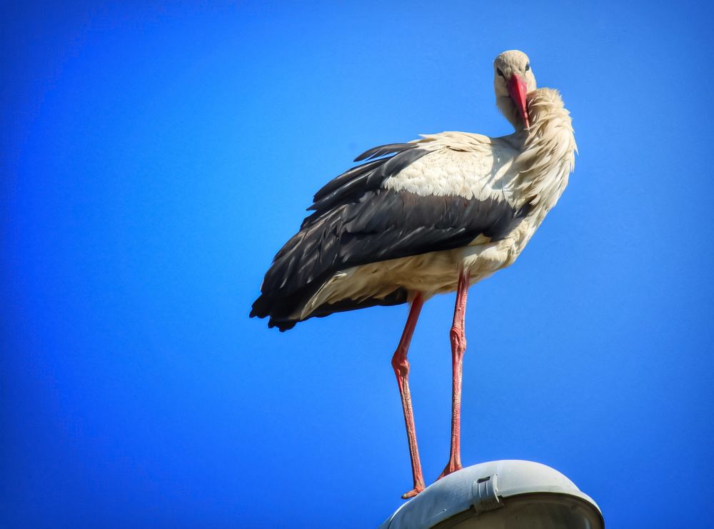 Photograph by Ralica Kitova