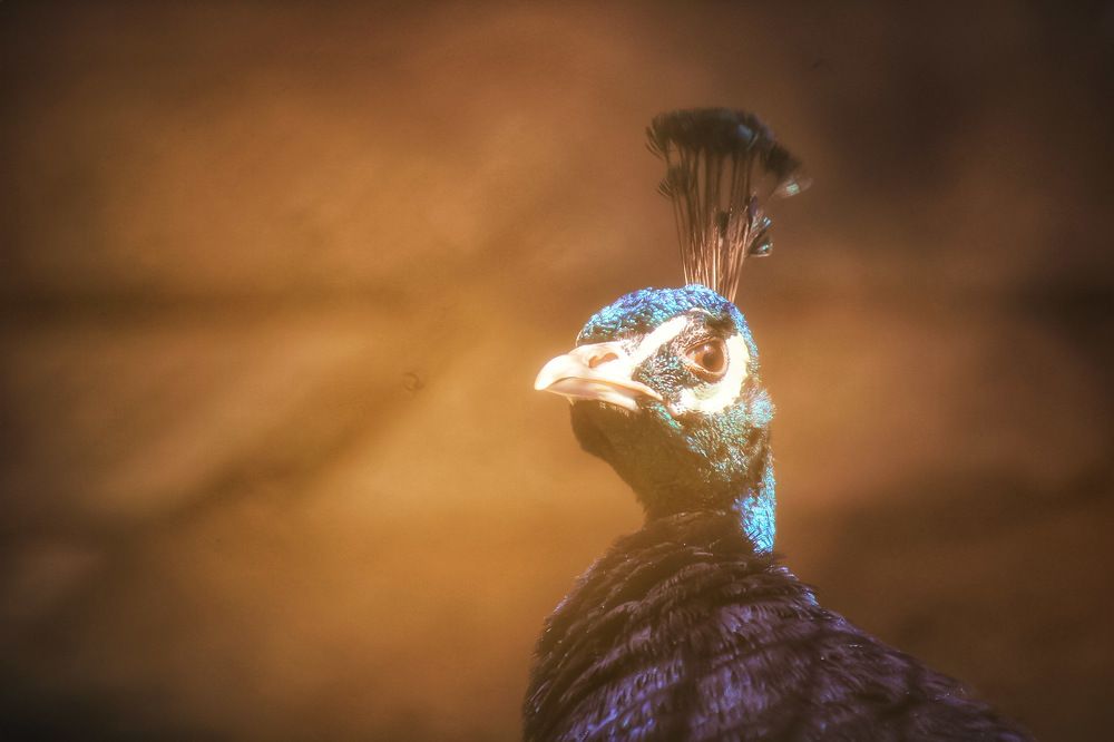 Photograph by Ralica Kitova