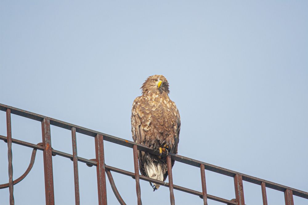 Photograph by Родион Шелупайко