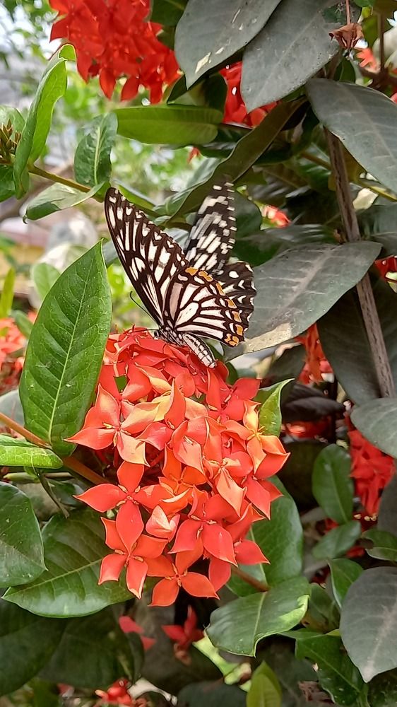 Photograph by Aditi Ghosh