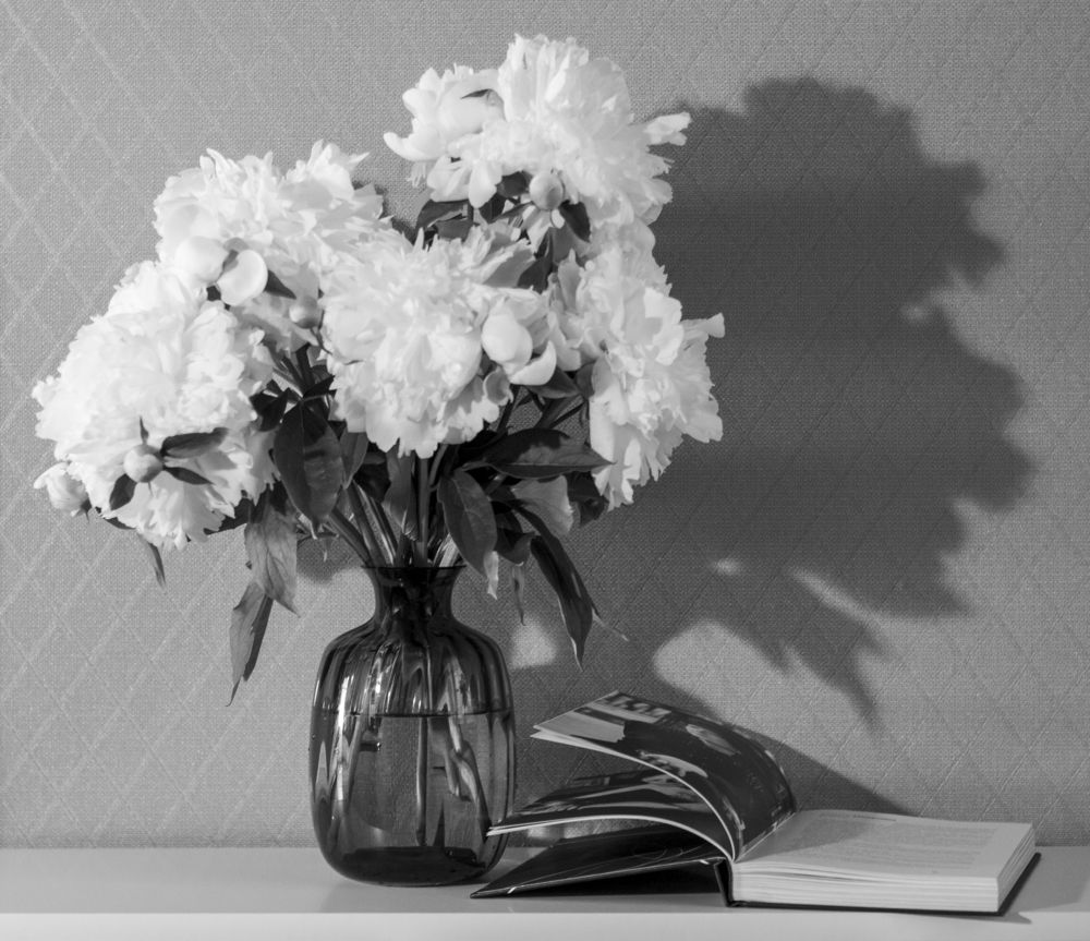 Photograph by Ольга Бондаренко