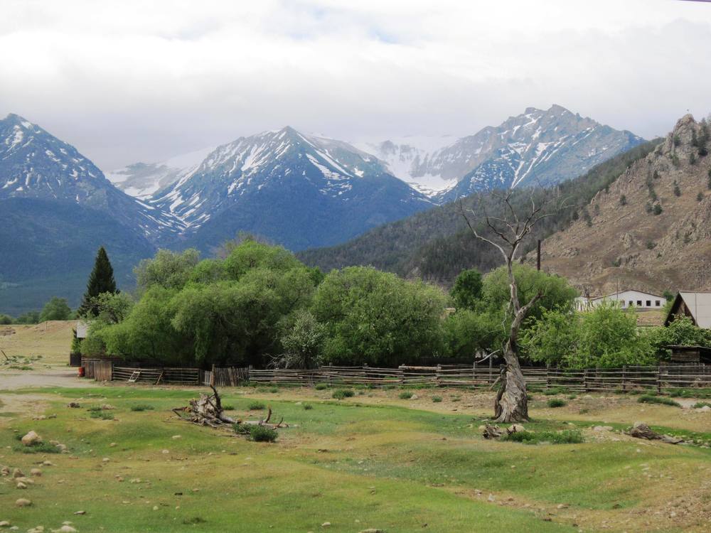 Photo #7694334