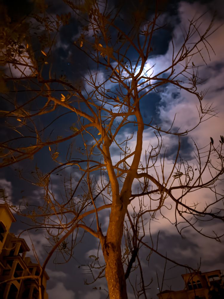 Photograph by Alfred Melad