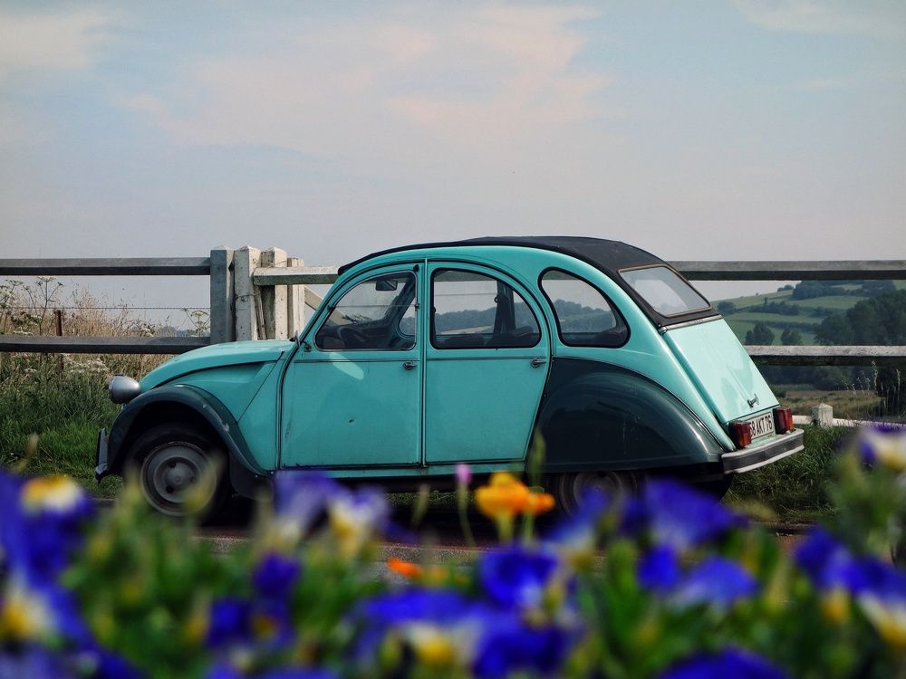 Photograph by Василий Селиванов