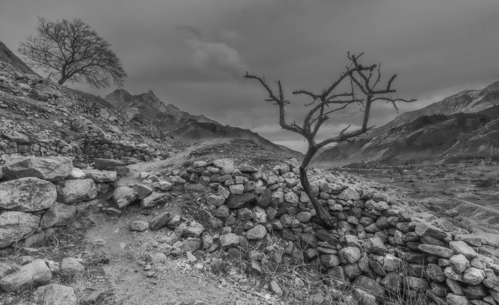 На развалинах