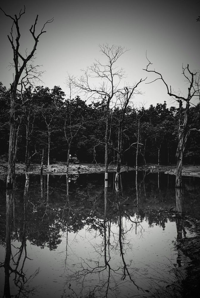 Photograph by Diptanu Majumder