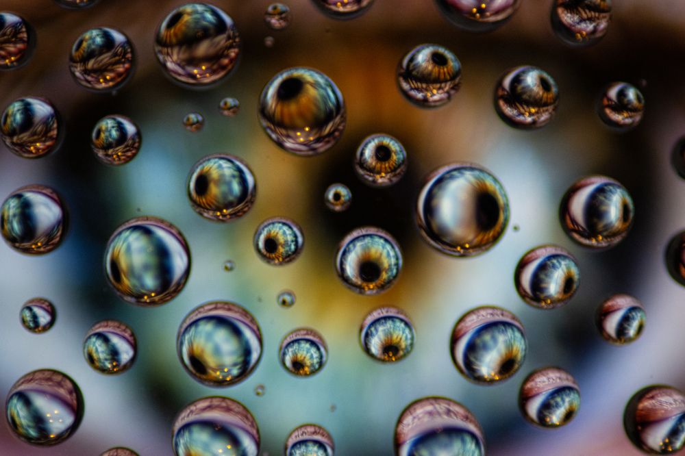 Photograph by Алина Логвиненко