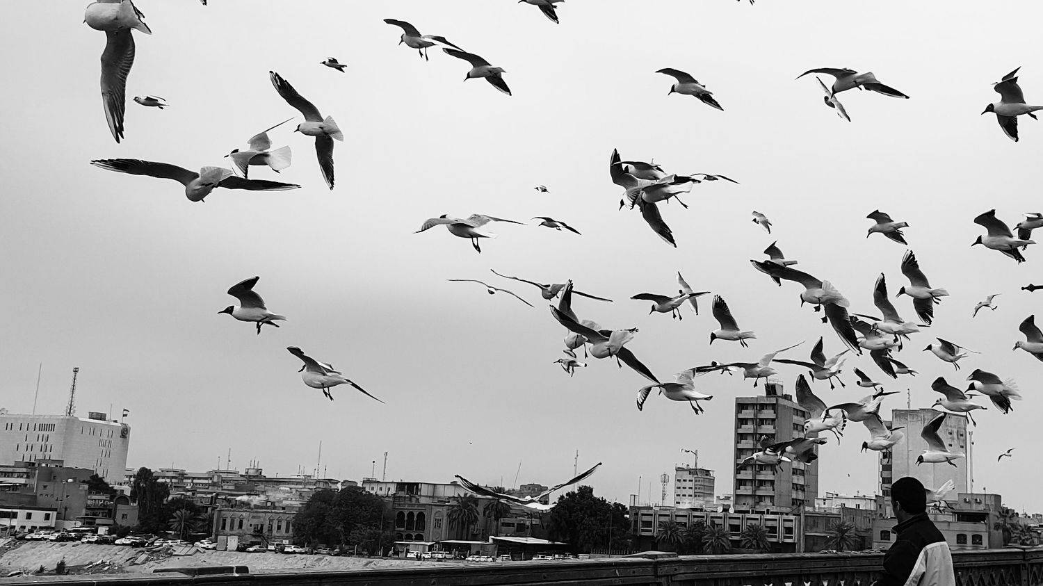 Photo #7694669