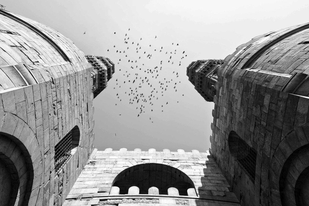 Фотография автора Mahmuod Ahmed