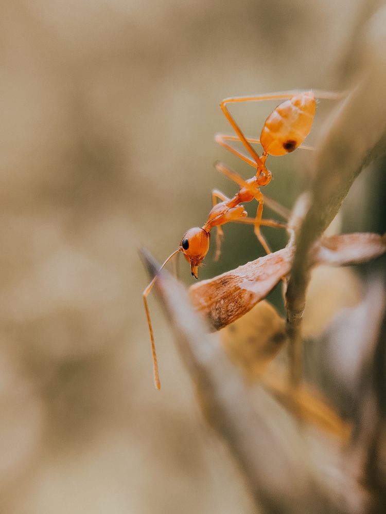 Photograph by Karthikeyan