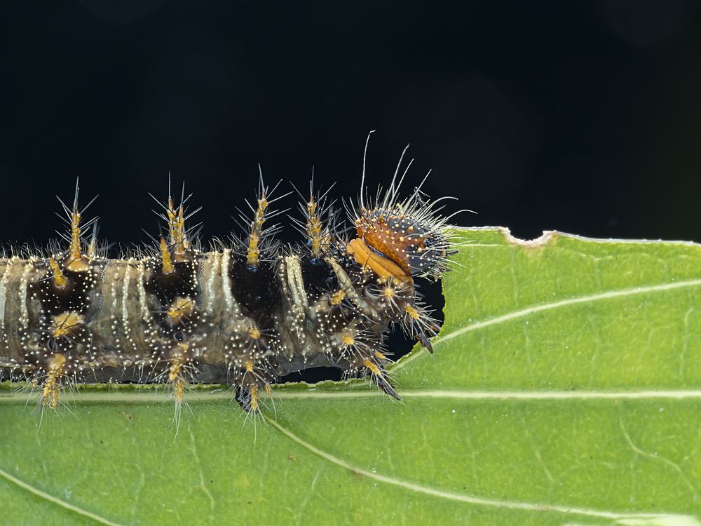 Photograph by Soon Teong Low