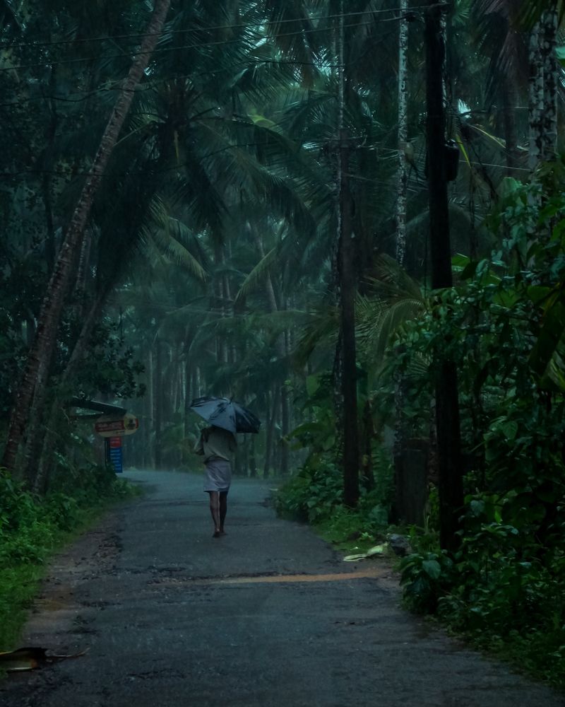 Photograph by Jaseem br