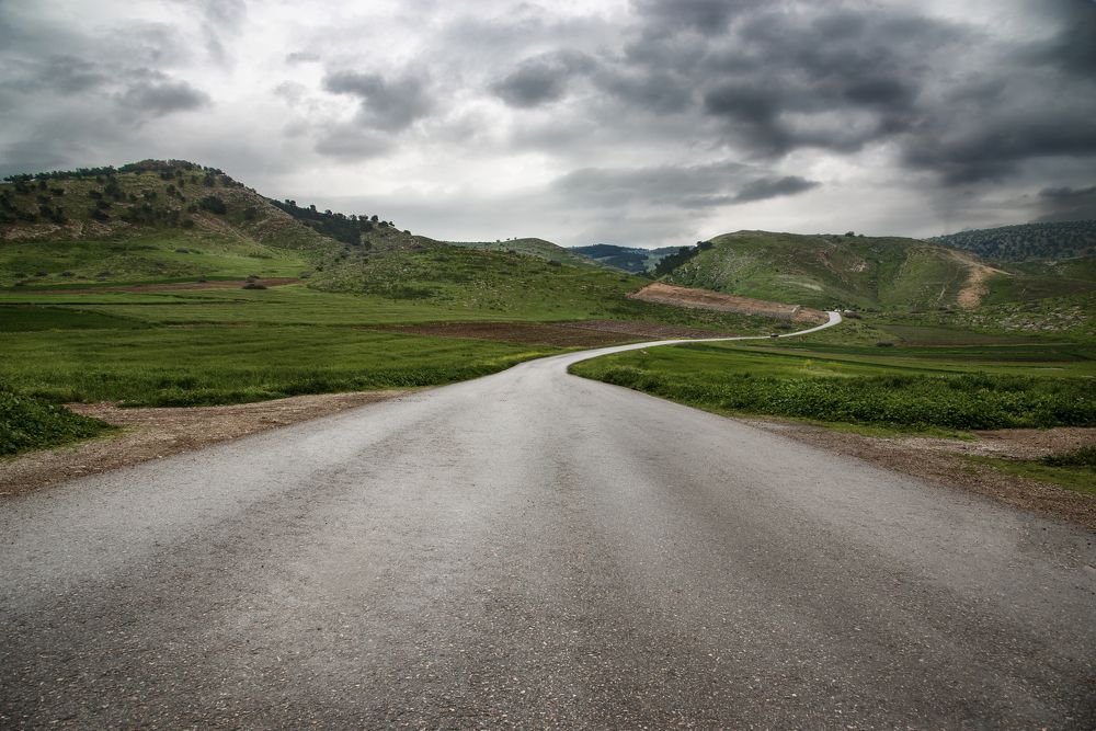 Photograph by Mohammed Alfuqaha