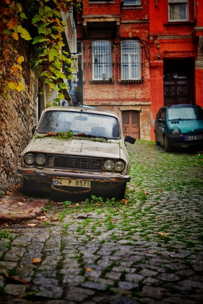 Photograph by Александр Кудрявцев