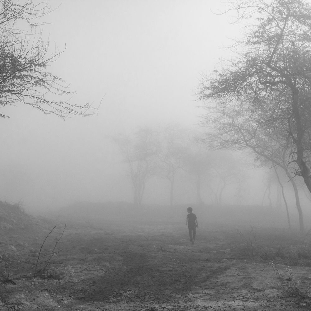 Wandering in the fog