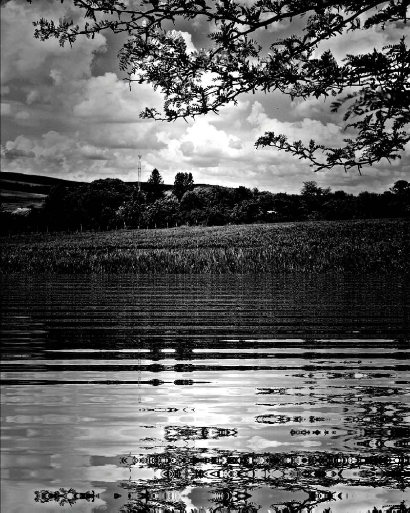 Photograph by Nikolett Mengyi