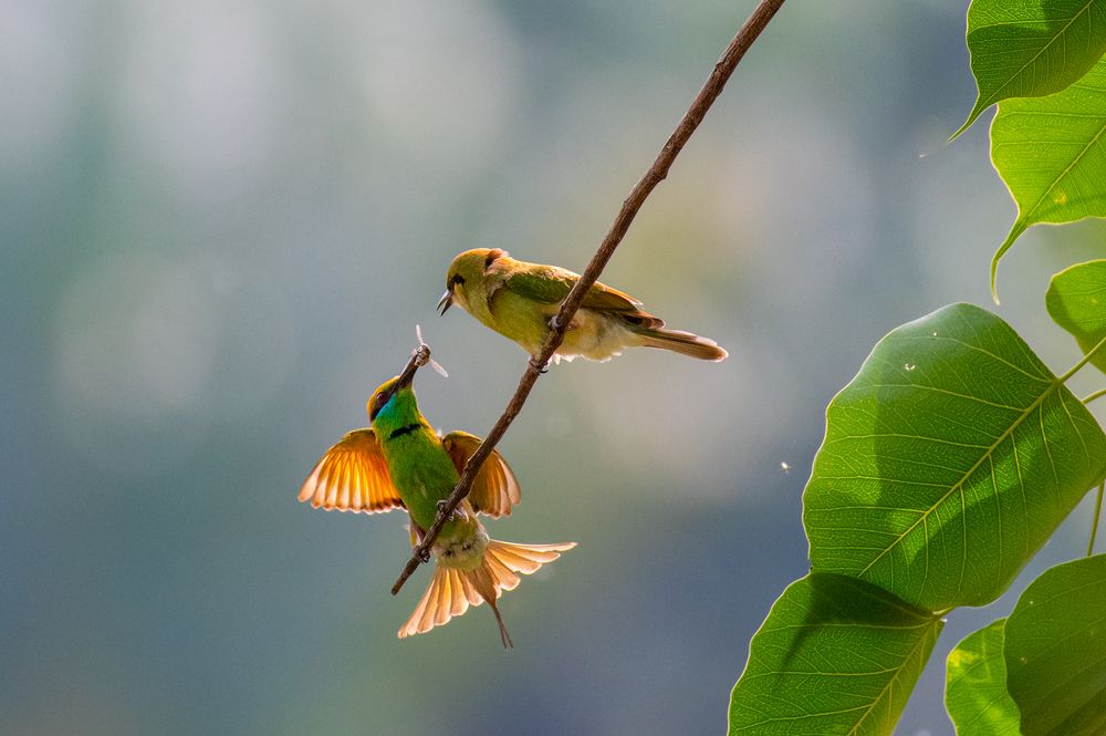 Photograph by NAVIN AGARWAL
