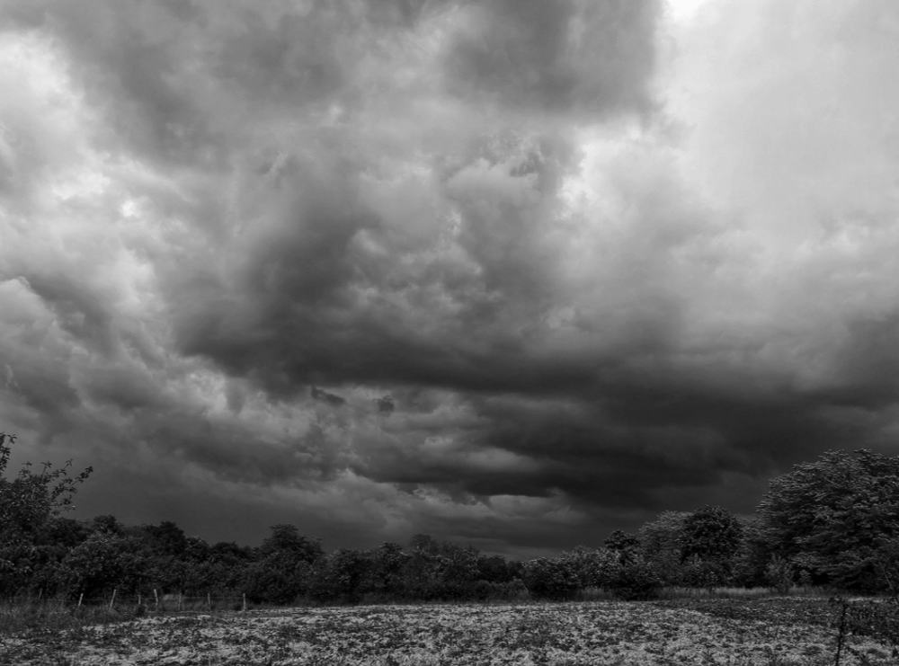 Photograph by Nikolett Mengyi