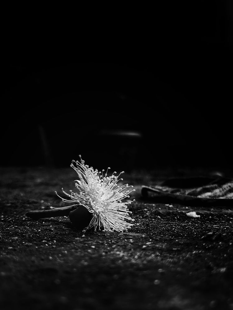 Photo #7694939