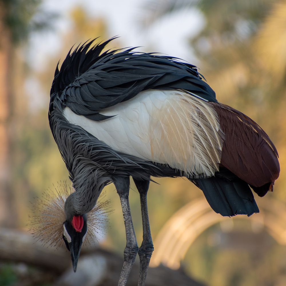 Photograph by Muhammad Hamid