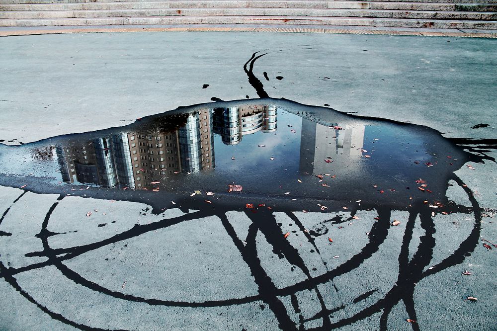 Photograph by Елена Кудейкина