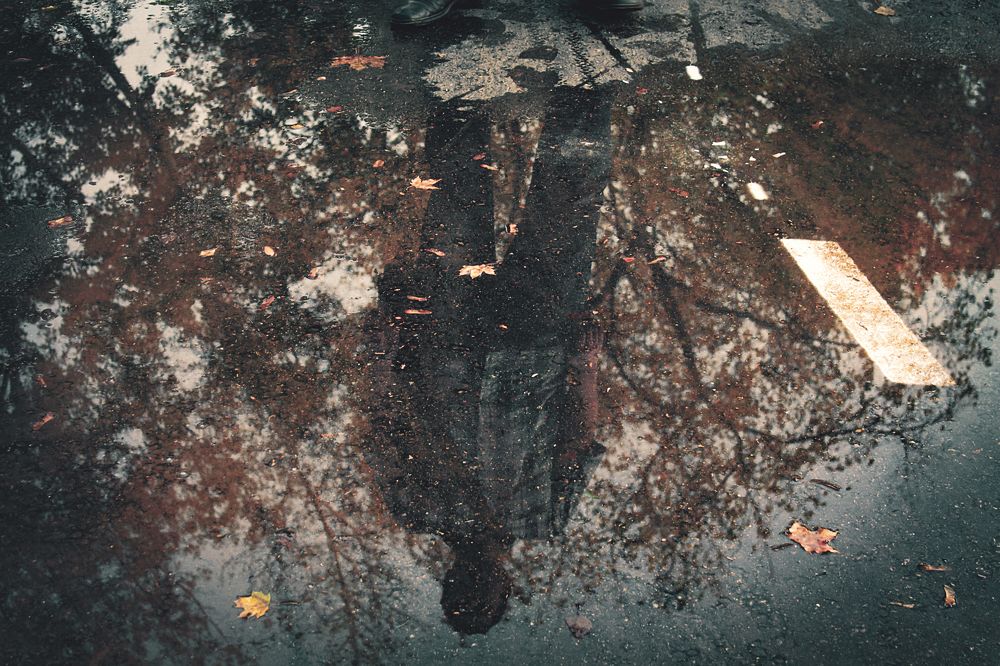 Photograph by Елена Кудейкина