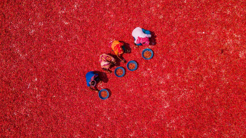 Photograph by Fahad Ahmed Fahad